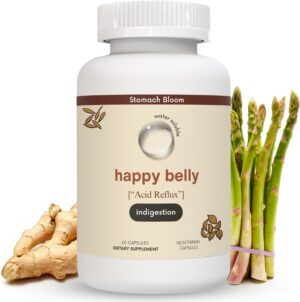 Acid & Indigestion Relief, Safe Antacid Alternative for Occasional Acid Reflux & Heartburn, Ginger, Curcumin, Spearmint & More – Phd Doctor-Formulated & Clincially-Studied – 30 Servings Acid & Indigestion Relief, Safe Antacid Alternative for Occasional Acid Reflux & Heartburn, Ginger, Curcumin, Spearmint & More – Phd Doctor-Formulated & Clincially-Studied – 30 Servings