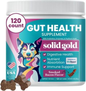 Solid Gold Dog Probiotics for Digestive Health – Probiotics for Dogs with Fiber & Digestive Enzymes for Bowel Support & Gut Health – Bacon Flavor Soft Chews to Support Digestion for All Ages – 120ct Solid Gold Dog Probiotics for Digestive Health – Probiotics for Dogs with Fiber & Digestive Enzymes for Bowel Support & Gut Health – Bacon Flavor Soft Chews to Support Digestion for All Ages – 120ct