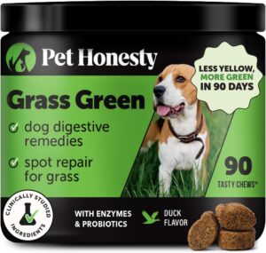Grass Green Dog Chews – Urine Neutralizer for Lawn, Dog Pee Grass Helps Yard Stay Green Addressing Burn Spots with Probiotics & Enzymes (Duck)