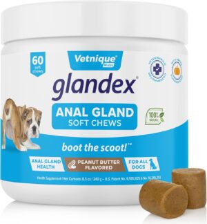 Vetnique Glandex Anal Gland Soft Chew Treats with Pumpkin for Dogs Digestive Enzymes, Probiotics Fiber Supplement for Dogs Boot The Scoot (Peanut Butter Chews, 60 Count)
