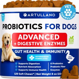 Probiotics for Dogs – Support Gut Health, Itchy Skin, Allergies, Immunity, Yeast Balance – Dog Probiotics and Digestive Enzymes with Prebiotics – Reduce Diarrhea, Gas – 120 Probiotic Chews for Dogs Probiotics for Dogs – Support Gut Health, Itchy Skin, Allergies, Immunity, Yeast Balance – Dog Probiotics and Digestive Enzymes with Prebiotics – Reduce Diarrhea, Gas – 120 Probiotic Chews for Dogs