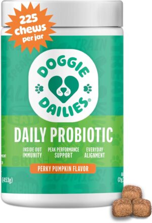 Doggie Dailies Probiotics for Dogs – Advanced Dog Probiotics with Prebiotics – Promotes Digestive Health – Supports Immune System and Overall Health (Pumpkin) 225 Soft Chews